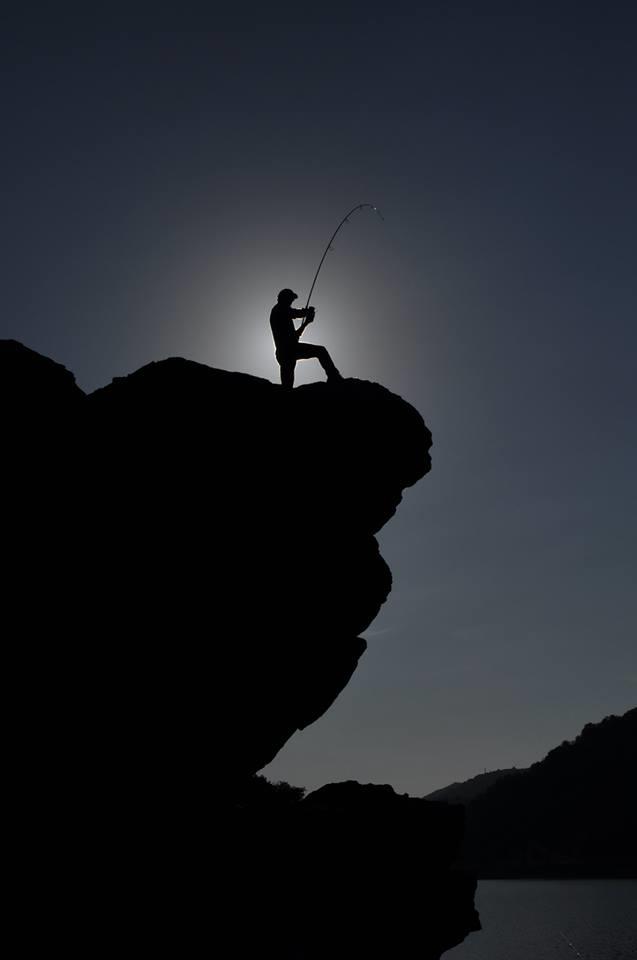 carp - 24694310201414316944841756405258n.jpg